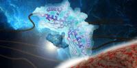 Microbes Take Their Vitamins–for the Good of Science