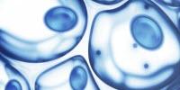 Reprogramming Human Cells a Breakthrough in Disease Treatment