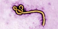 Researchers to Use Supercomputer to 'Hack' Ebola