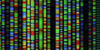 Study Highlights Need for Better Characterized Genomes for Clinical Sequencing