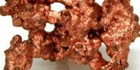 Bacterial Resistance to Copper in the Making for Thousands of Years