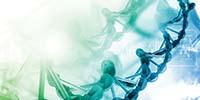 INSIGHTS on Next-Generation Sequencing