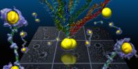 Revealing the Fluctuations of Flexible DNA in 3D
