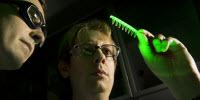 Scientists Develop a Simple Way to Detect Diseases in Mosquitoes