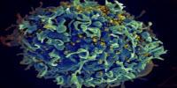 Toward a Resistance-Proof Antiviral That Can Treat Many Diseases