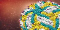Cracking the Zika Mystery