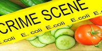 How Big a Problem Is Foodborne Illness?