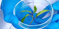 Managing Energy in Your Lab