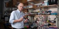 Missing Links Brewed in Primordial Puddles?