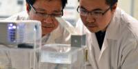 UBC Research Makes Creating Biological Tissue Safer and More Affordable