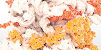 Blasting New Barriers in Protein Mass Spectrometry