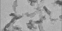How X-Rays Are Helping to Figure out Why Fat Is Yummy