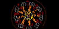 New $17 Million Cryo-Electron Microscope Center Provides Extraordinary Views of Life at Atomic Scale