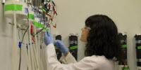 Bacterial Research May Lead to Less Polluted Waters