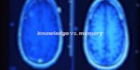How a Woman with Amnesia Defies Conventional Wisdom About Memory