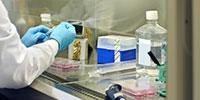 Replacing Fume Hood Ducts with Filters Offers Newfound Freedom