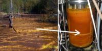 Study Looks at Bacteria to Remove Metals from Mine-Impacted Water