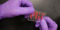 Tough New Hydrogel Hybrid Doesn't Dry Out