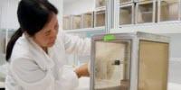 Universities Make Huge Zika Research Breakthroughs