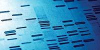 Next-Gen Sequencing Overcomes Limitations in Forensic Genomics