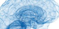 Scientists Link Bipolar Disorder to Unexpected Brain Region