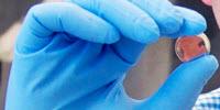 Chemists Create Vitamin-Driven Battery