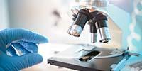 Choosing the Best Microscopy Solution for Your Lab