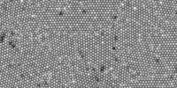 Microscope Becomes Gauge to Measure Forces within Crystals