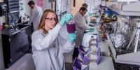 Project Examines How Temperature Affects Food Safety of School Lunches