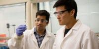 Researchers Say Trees Could Help Strengthen Auto Parts