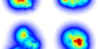 Scientists Model the