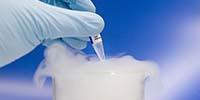 Selecting the Best Cold Storage Solution for Your Lab