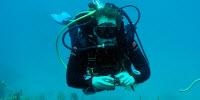The Sound of a Healthy Reef