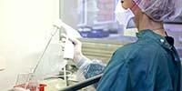 Three Ways to Determine What Biological Safety Cabinet Your Lab Needs