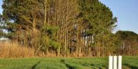 Trading Farmland for Nitrogen Protection