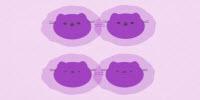 'Schroedinger's Cat' Molecules Give Rise to Exquisitely Detailed Movies