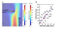 Development of a Novel Mass Analysis Technique That Can Be Performed Even with an Ordinary Business Card