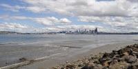 Floating DNA Reveals Urban Shorelines Support More Animal Life