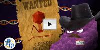 Genetically Modified Humans? CRISPR/Cas 9 Explained (Video)