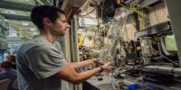Scientists Gather to Study Secrets of Plants' Plumbing