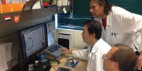 Study Finds Potential New Biomarker for Cancer Patient Prognosis