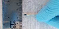 Team Finds a Tough New Catalyst for Use in Renewable Fuels Production