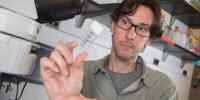 The Brain Perceives Taste with All Senses, Research Reveals