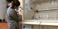 'Shut the Sash' Campaign Aims to Save Energy, Boost Safety in Smith College Labs