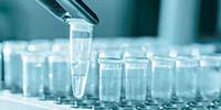 Designing qPCR Assays