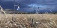 Indirect Effects of Rising CO2 Levels on Ecosystems More Important Than Previously Thought