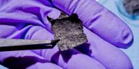 University at Buffalo Awarded $2.9 Million to Build One-Of-A-Kind Advanced Materials Data Research Lab