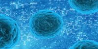 Cellular Death Signals Decoded