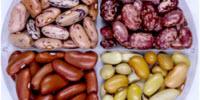 Fast-Cooking Dry Beans Provide More Protein, Iron Than 'Slower' Varieties