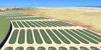 Microalgae Create Green Fuel, Reduce Food Insecurity